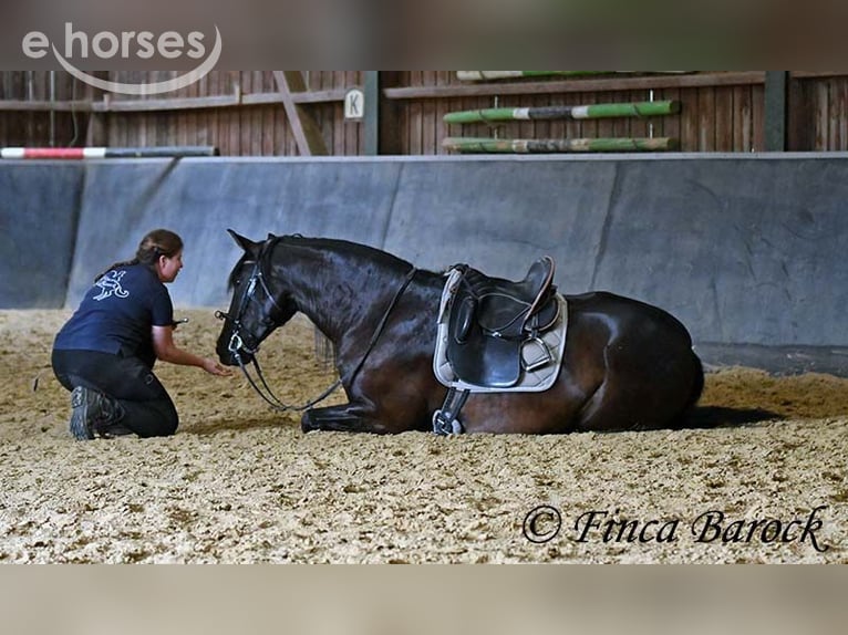 Trainer (m/f) wanted in Wiebelsheim