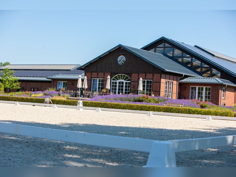 Trainer (m/f/d) wanted in Westerstede, 26655