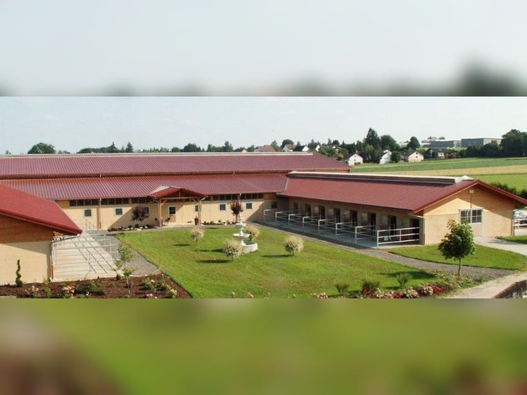 Equine Specialist, Horse Caretaker, or Career Switcher Wanted