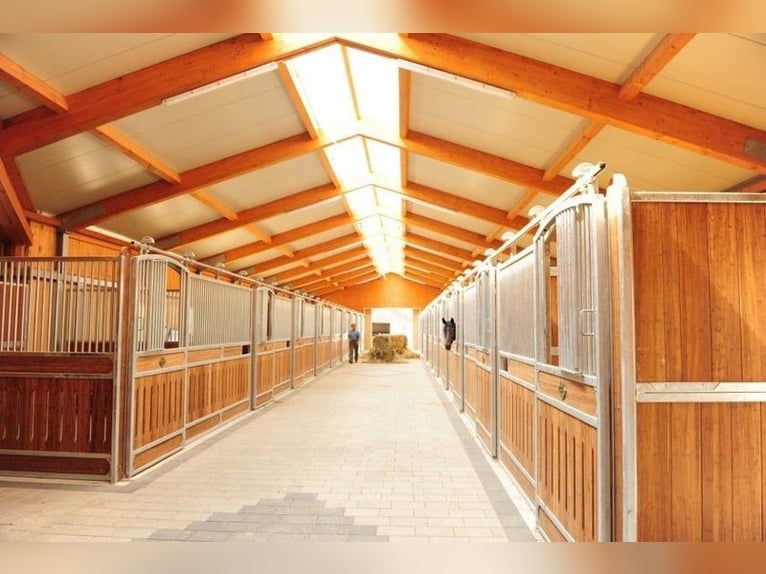 Equine Specialist, Horse Caretaker, or Career Switcher Wanted