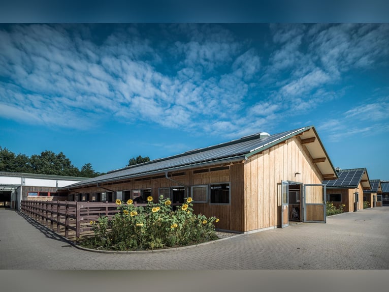 We are looking for a stable worker to join our team.