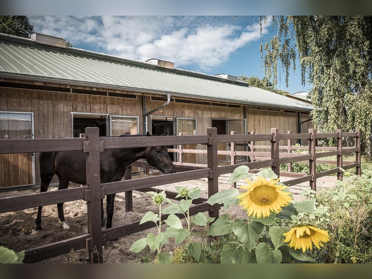 We are looking for a stable worker to join our team.