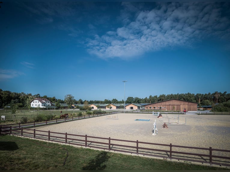 We are looking for a stable worker to join our team.