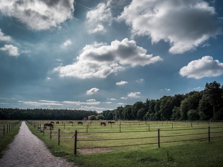 We are looking for a stable worker to join our team.