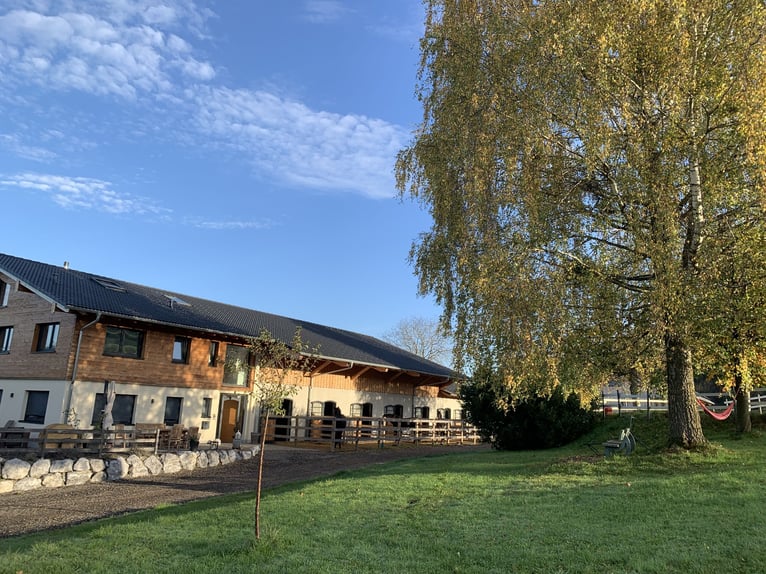 Dream Job: Equine Specialist