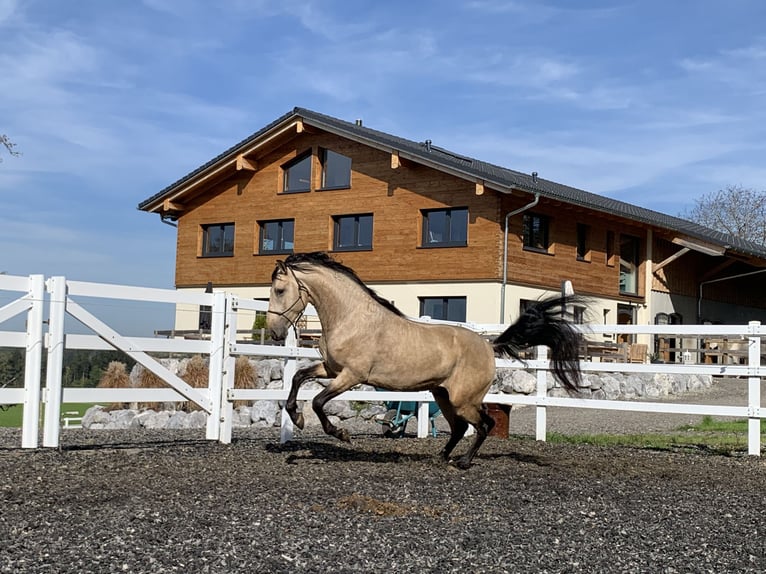 Dream Job: Equine Specialist