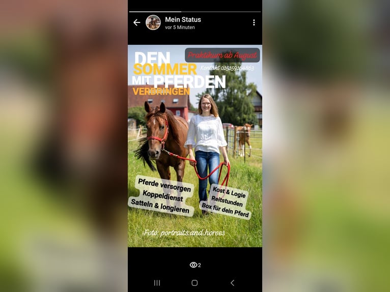 Praktikumsplatz ab sofort 