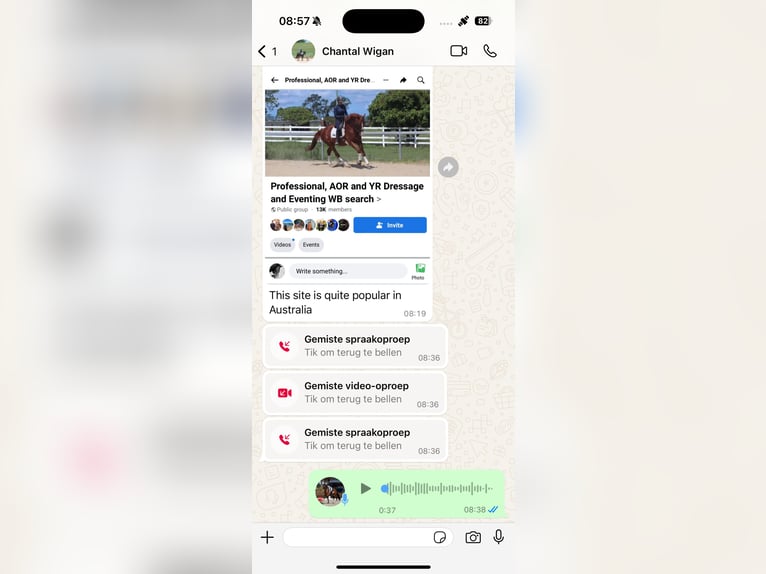  Working Student Position – Dressage Stable in Weert, The Netherlands 