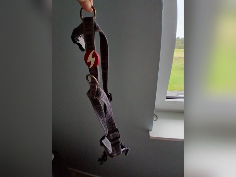 Dog harness