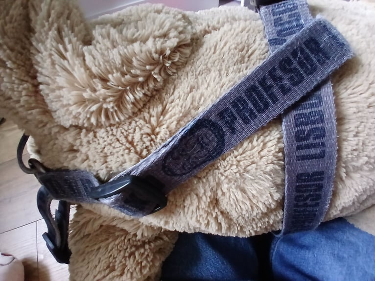 Dog harness