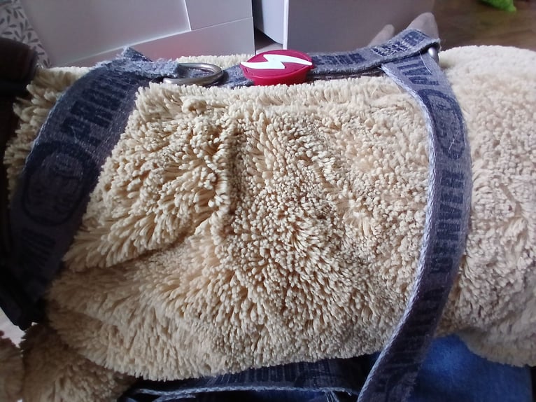 Dog harness