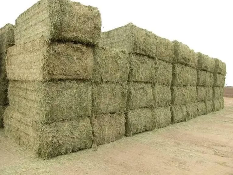 Straw and Fodder
