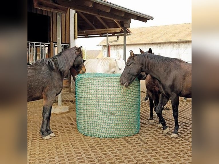 🌾 Round Baled Hay