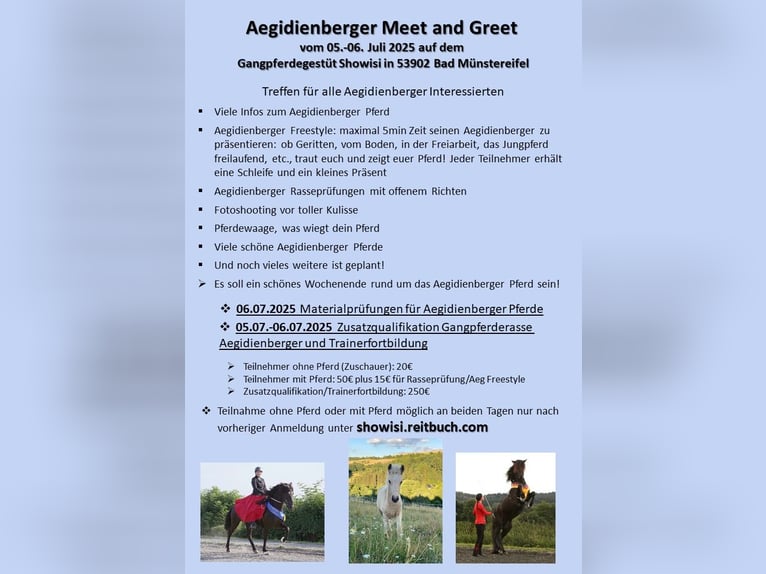 5.-6. Juli Aegidienberger Pferde kennen lernen