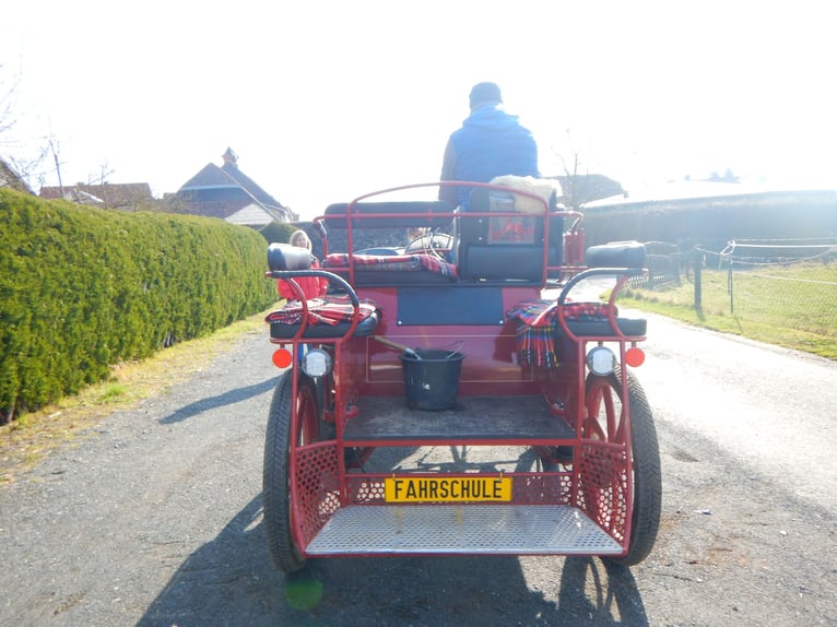 Carriage Driving License Class A and FA 6