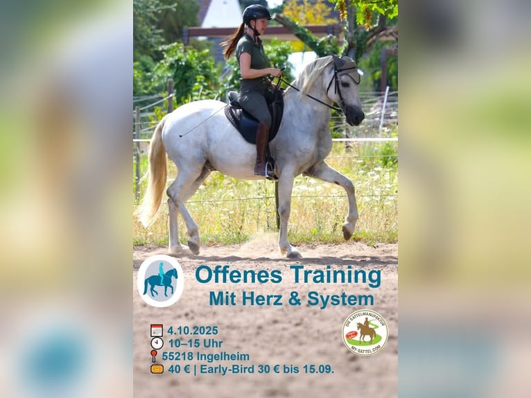 Einladung zum offenen Training für pferdegerechte Ausbildung in Ingelheim/ Rhein am 4. Oktober 25 Einladung zum offenen Training für pferdegerechte Ausbildung in Ingelheim/ Rhein am 4. Oktober 25