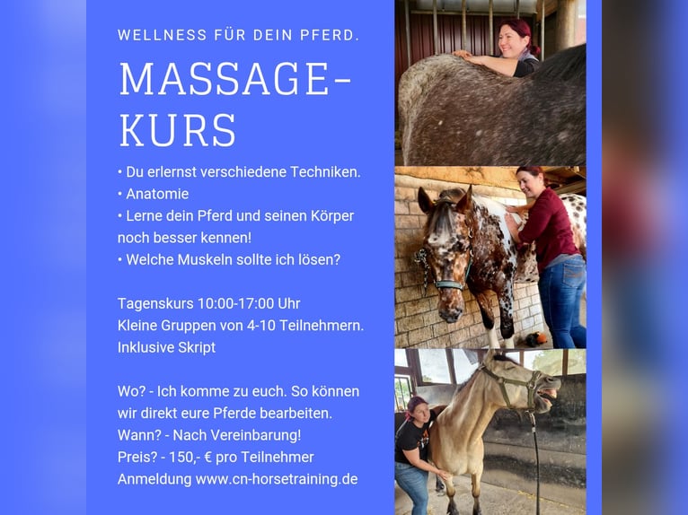 Kursangebot Tageskurs Bewegungsanalyse