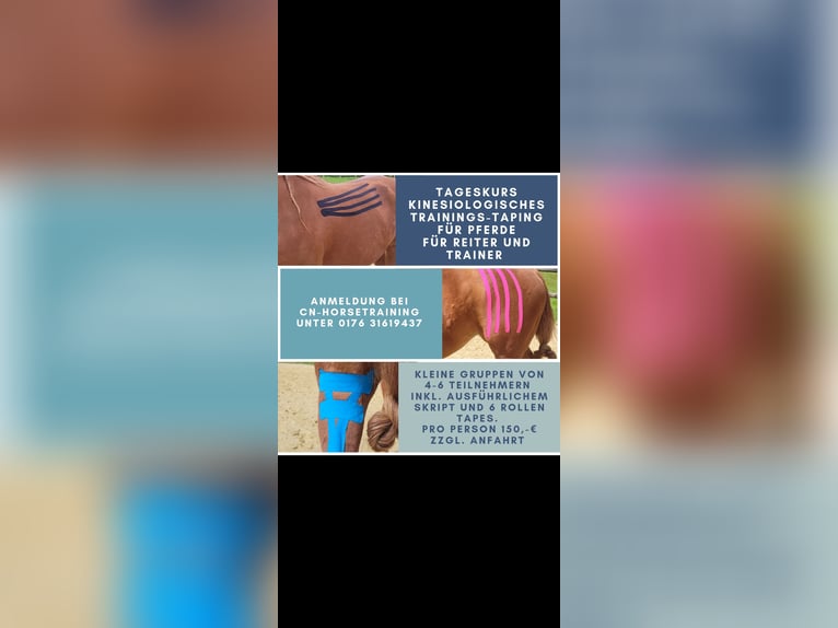 Kursangebot Tageskurs Bewegungsanalyse