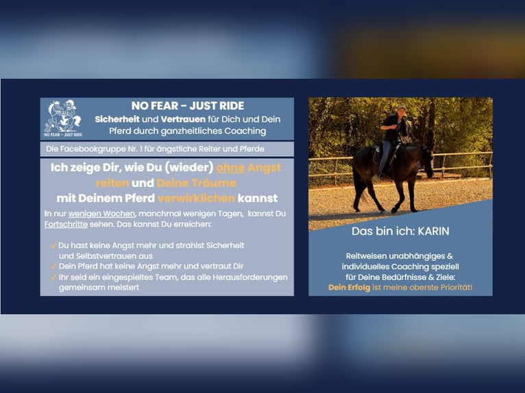 Never again fear riding – the path to safety, confidence, and enjoyment with your horse