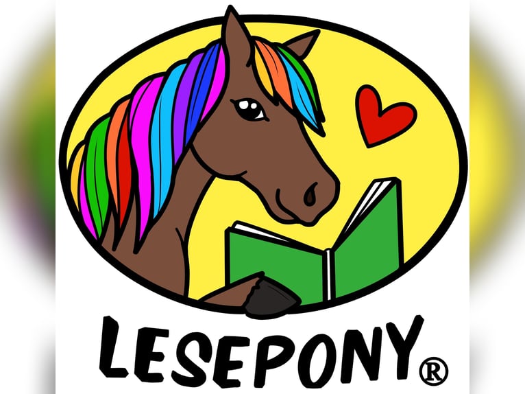 Training in Pony-Motion® Riding Pedagogy