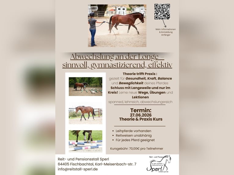 Variety in lunging – beneficial, gymnastic, and effective