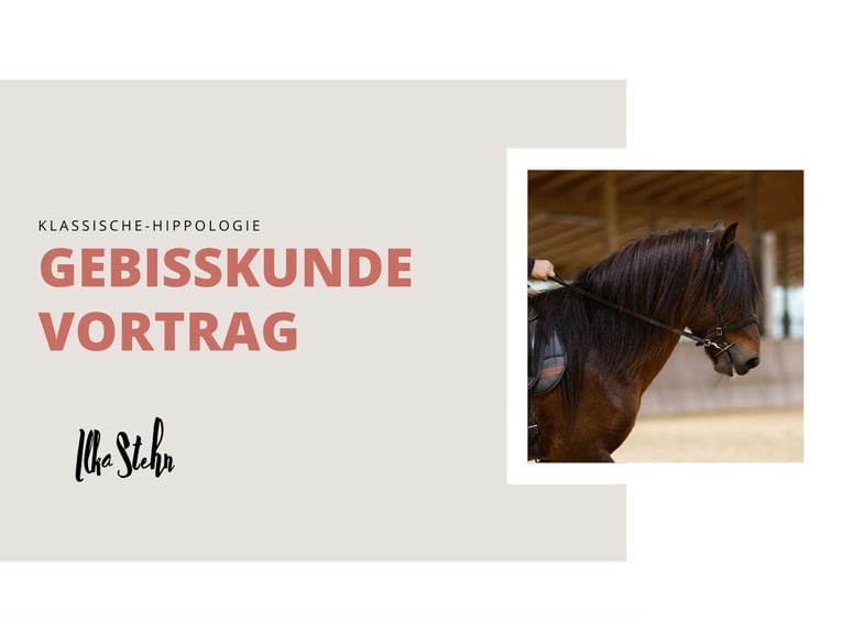 Workshop on Bit Knowledge – August 29th in Wenzendorf, 21279