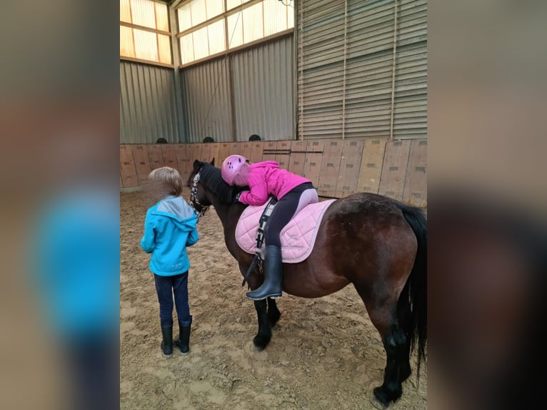 Children's birthday party at the riding stables