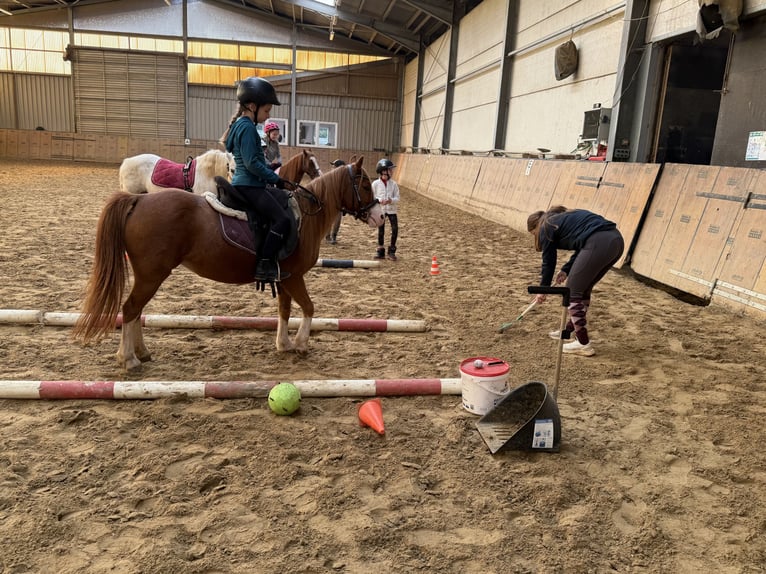 Children's birthday party at the riding stables