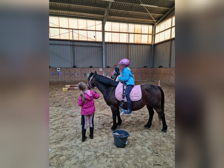 Children's birthday party at the riding stables