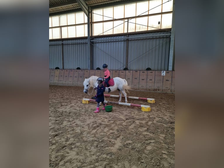 Children's birthday party at the riding stables