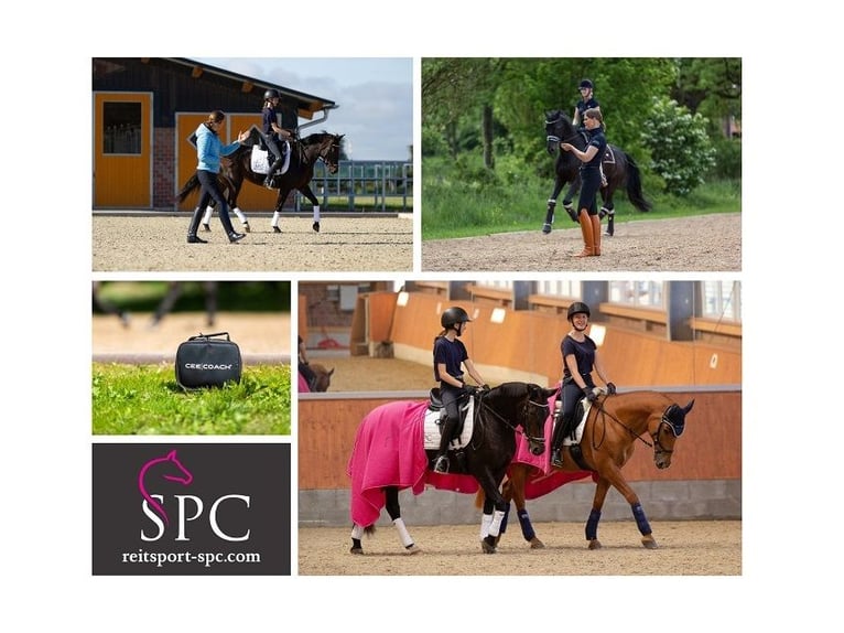 * Dressage lessons from Level E to S * Training days * Seat training * EM movement training * Neuroa