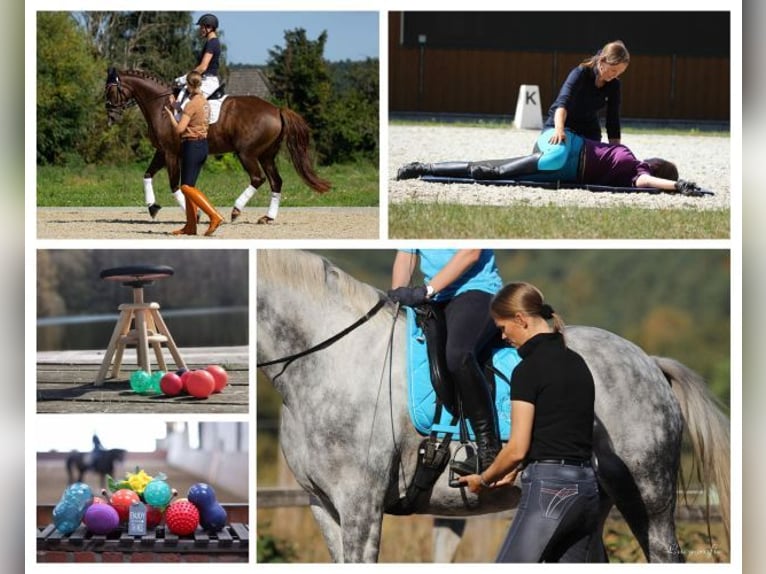 EM Movement Training / Seat Training by Eckart Meyners – the Original!