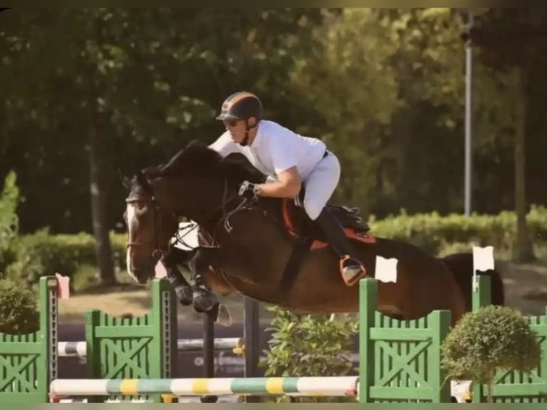 Learn to ride at the highest level – in the same place where others go on vacation.