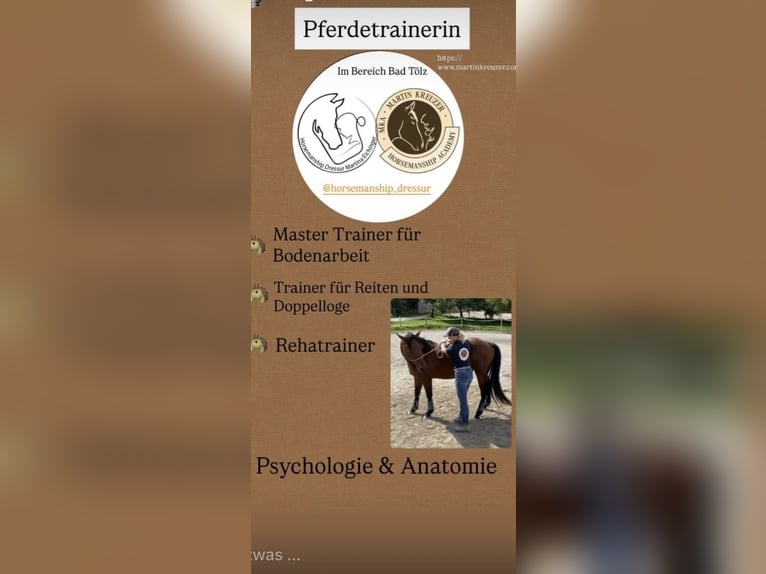 MKA Martin Kreuzer Horsemanship Academy Trainer