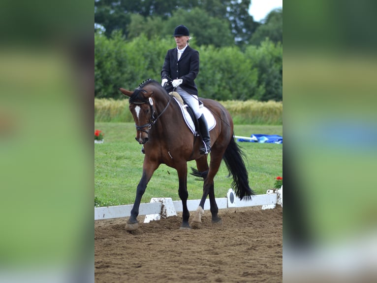 Mobile riding instructor