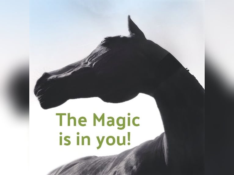 Mobile riding lessons for sensitive "problem horses"