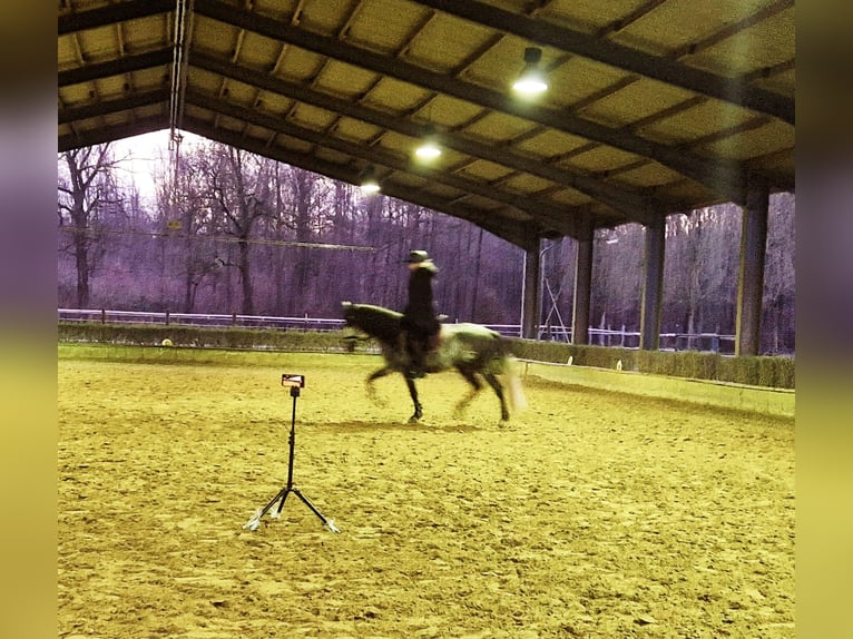 Online riding lessons