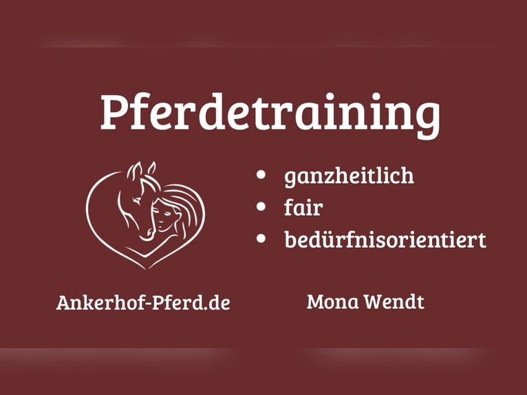 Pferdetraining individuell und ganzheitlich 