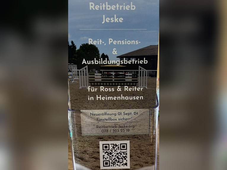 Reitunterricht/Beritt