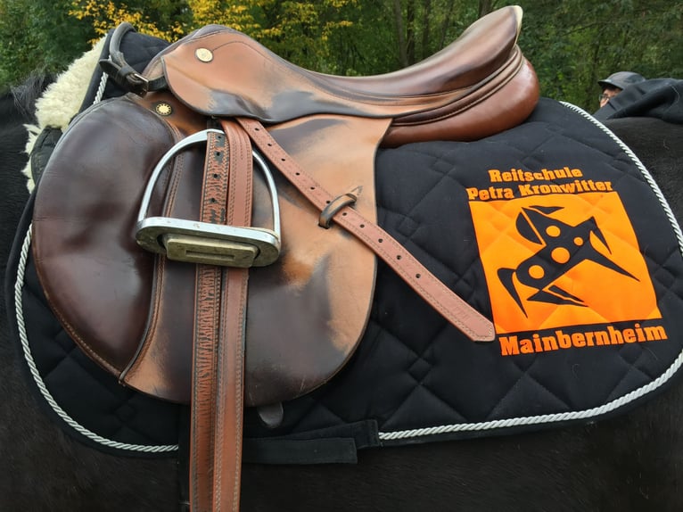 Reitunterricht für Erwachsen, Kinder und Jugendliche