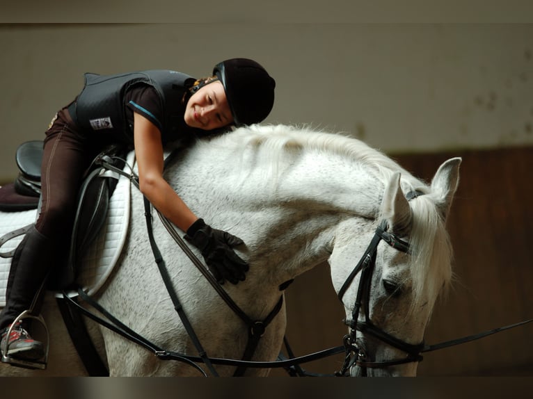 Reitunterricht für Erwachsen, Kinder und Jugendliche