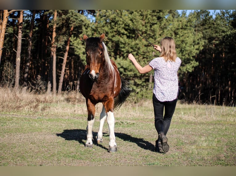 Riding lessons for adults