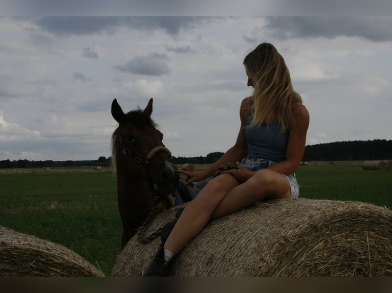 Riding lessons for adults