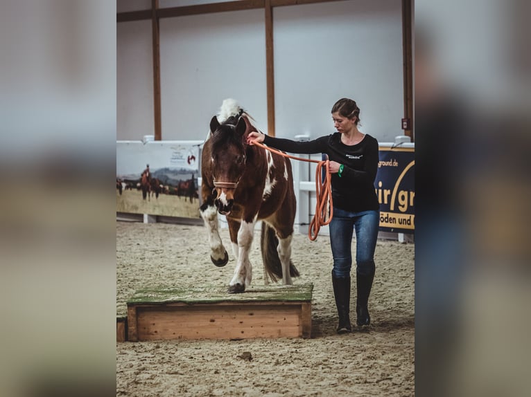 Riding lessons for adults