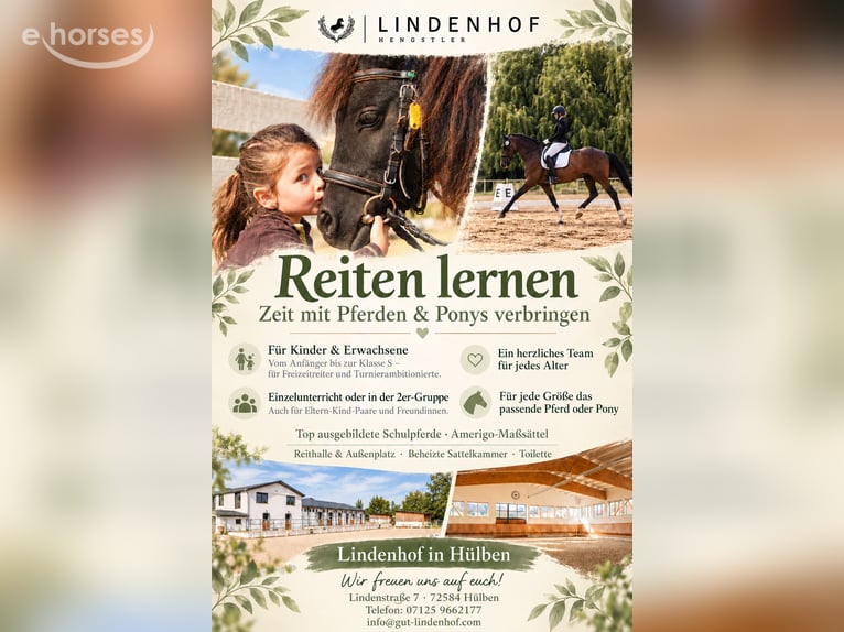 Riding lessons for beginners through advanced level (Class S)