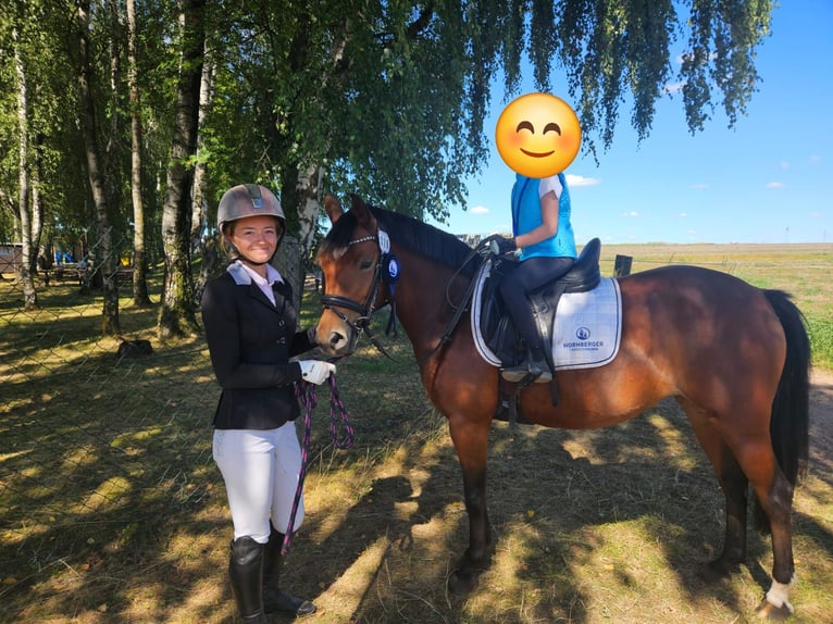Riding lessons for children: Introduction to equestrian sports