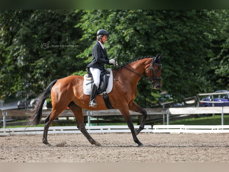 Staatlich geprüfte Reitinstruktorin