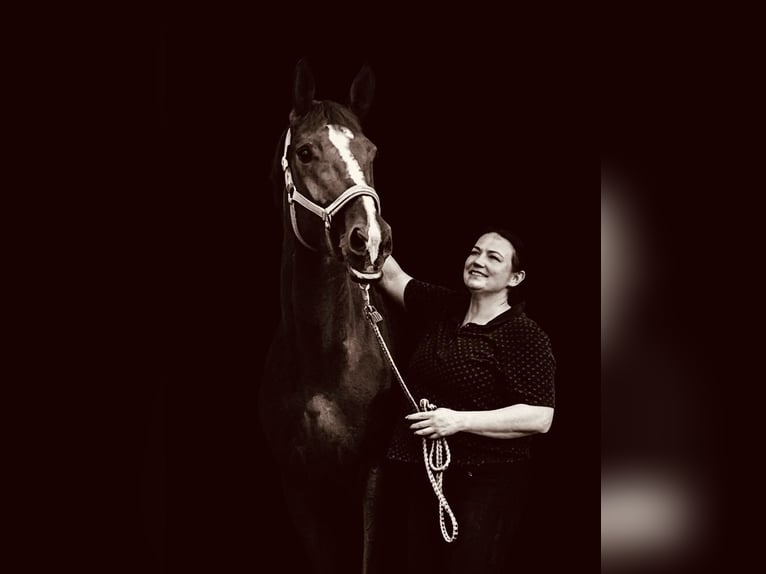 Video Analysis Remote Assistance