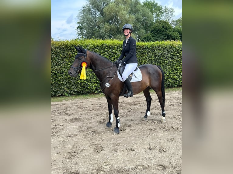 Beritt: Reiten wie es Pferde lieben 