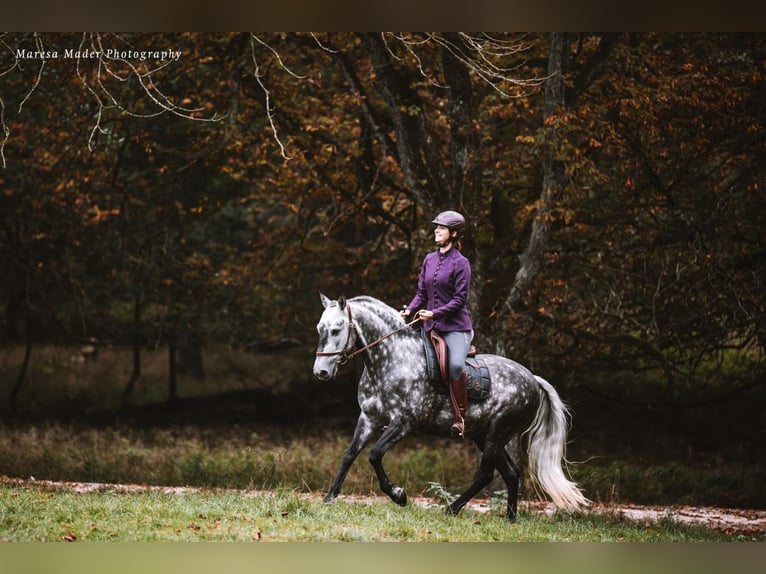 Beritt: Reiten wie es Pferde lieben 